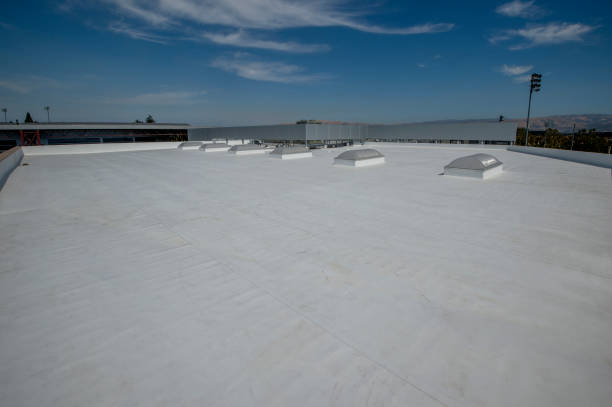 Roof Insulation Installation in Goliad, TX